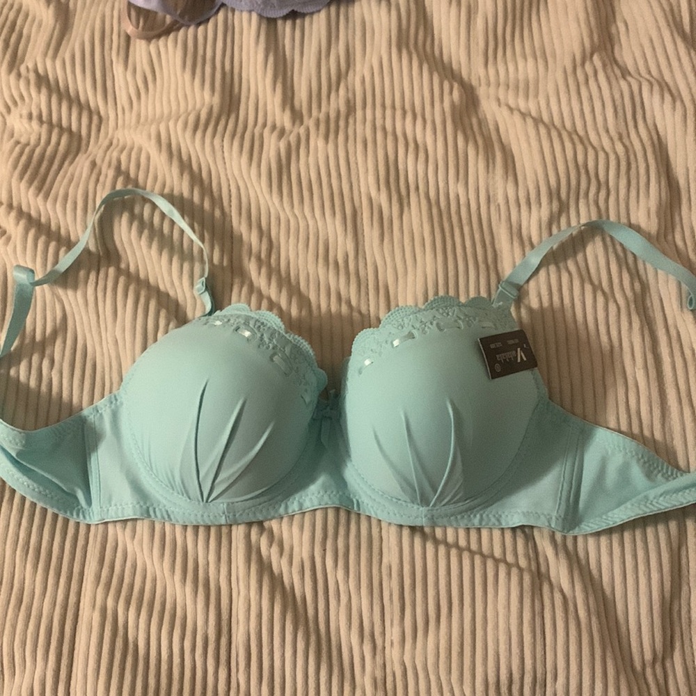 Teal Bra